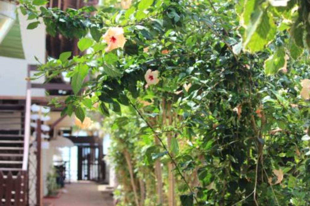 Pousada Parador 081 Порту-ді-Галіняс Екстер'єр фото